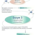 Enzycal