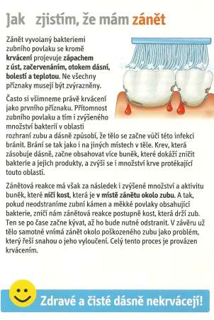 zanet-dasni